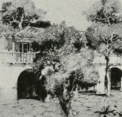 An illustration from Architect and engineer, 1905, leaf 349