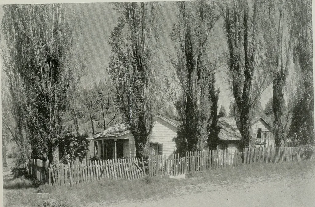 An illustration from Architect and engineer, 1905, leaf 414
