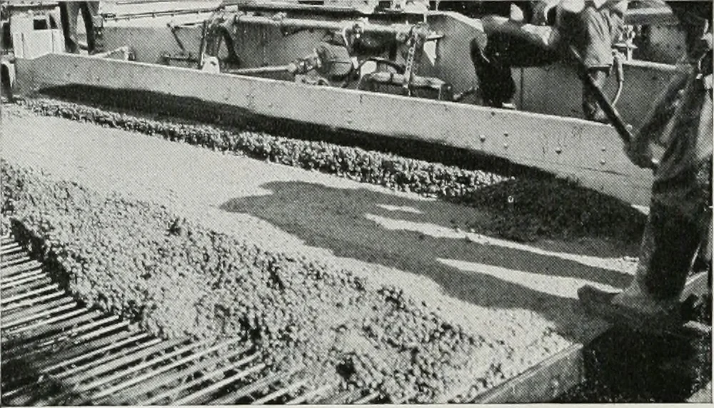 An illustration from Architect and engineer, 1905, leaf 433
