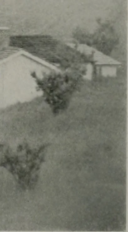 An illustration from Architect and engineer, 1905, leaf 104