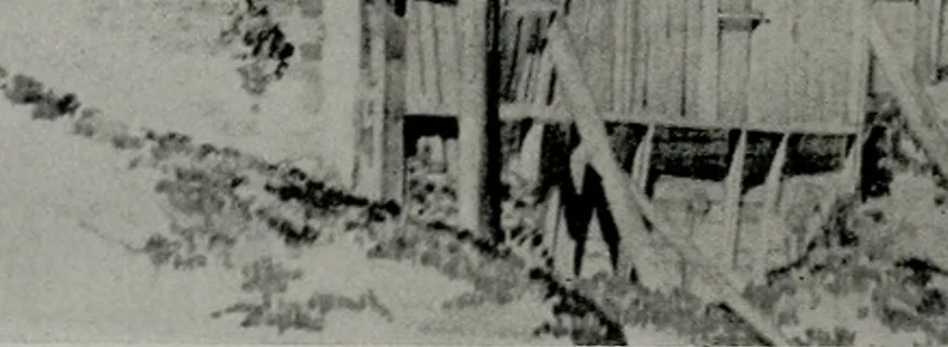 An illustration from Architect and engineer, 1905, leaf 197