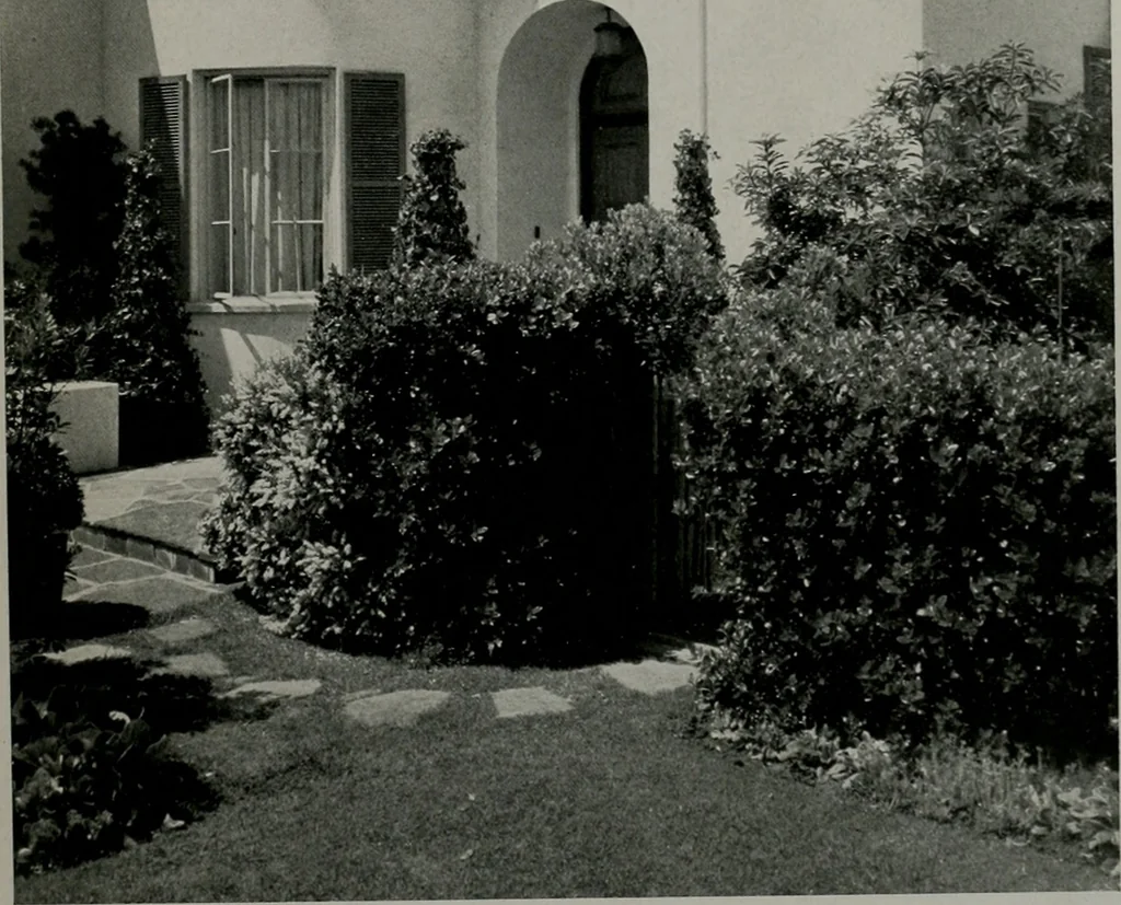 An illustration from Architect and engineer, 1905, leaf 260