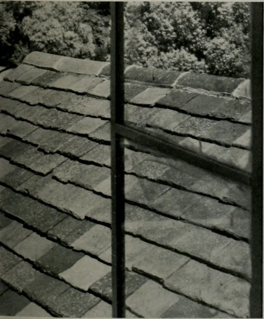 An illustration from Architect and engineer, 1905, leaf 84