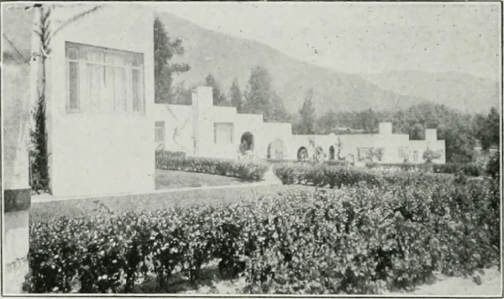 An illustration from The Architect & engineer of California and the Pacific Coast, 1905, leaf 229