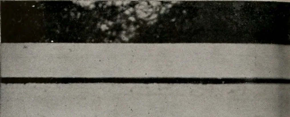 An illustration from Architect and engineer, 1905, leaf 157