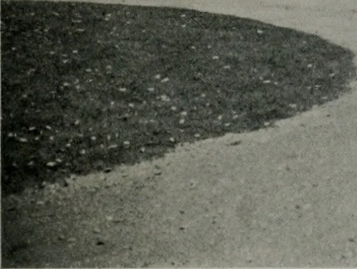 An illustration from Architect and engineer, 1905, leaf 16
