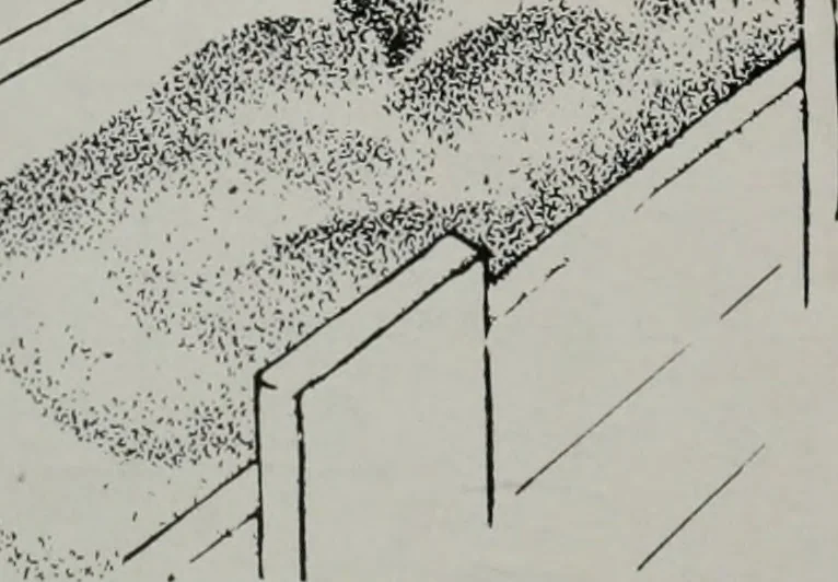 An illustration from Architect and engineer, 1905, leaf 5