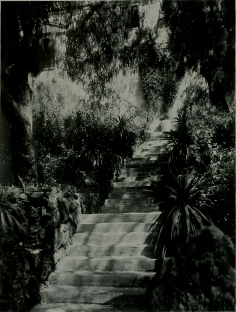 An illustration from Architect and engineer, 1905, leaf 279