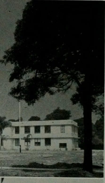 An illustration from Architect and engineer, 1905, leaf 35