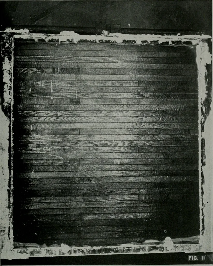 An illustration from Architect and engineer, 1905, leaf 40