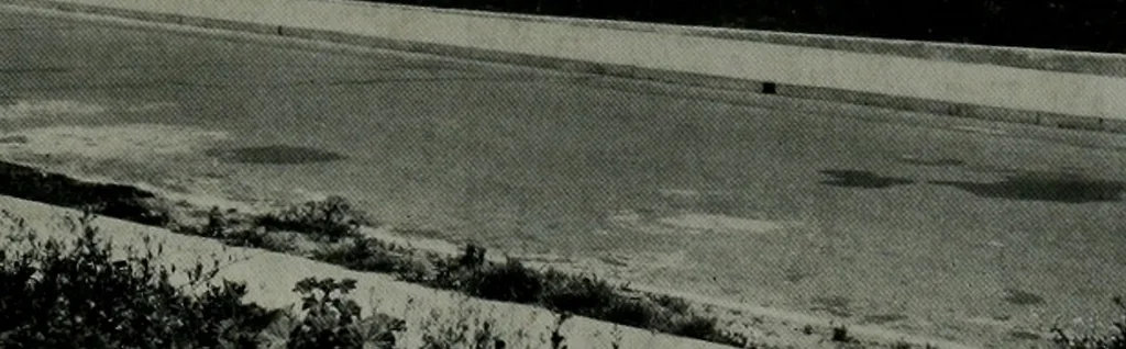 An illustration from Architect and engineer, 1905, leaf 6