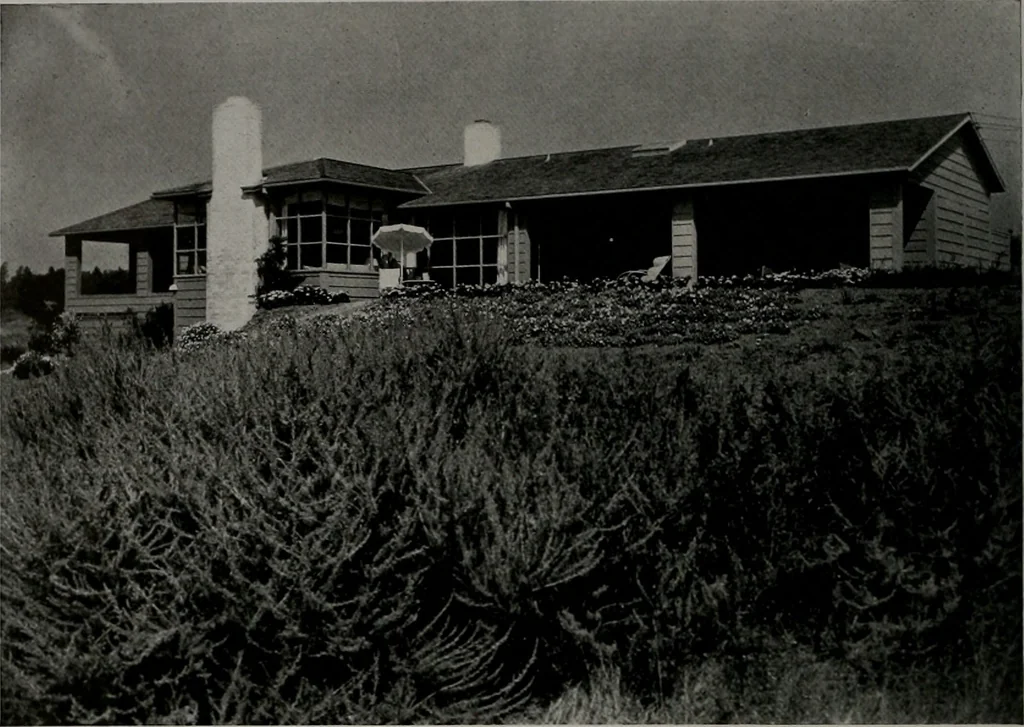 An illustration from Architect and engineer, 1905, leaf 15