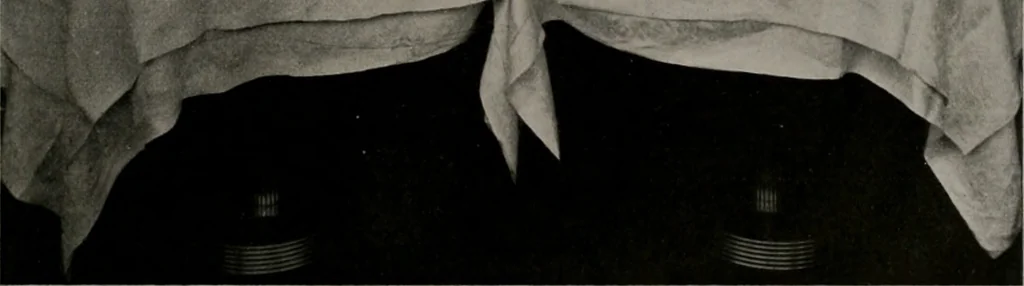 An illustration from Architect and engineer, 1905, leaf 170