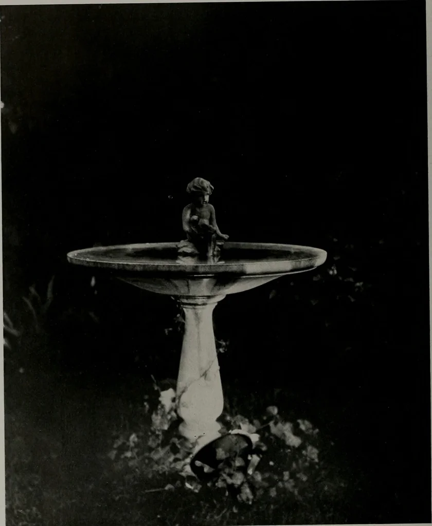 An illustration from Architect and engineer, 1905, leaf 343