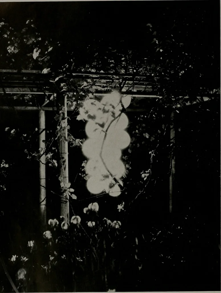 An illustration from Architect and engineer, 1905, leaf 345