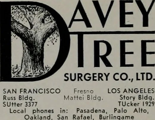 An illustration from Architect and engineer, 1905, leaf 455