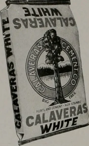 An illustration from Architect and engineer, 1905, leaf 459