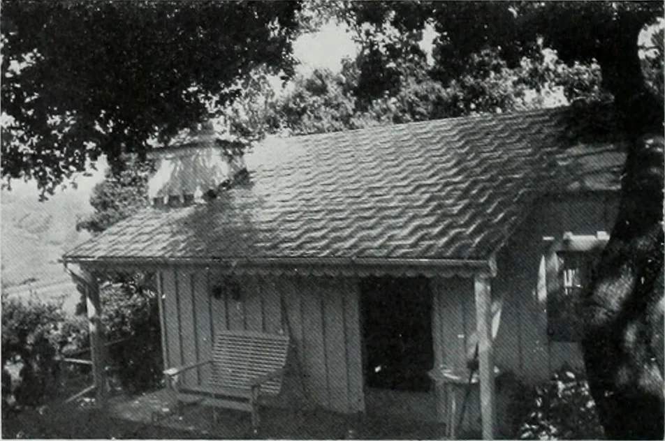An illustration from Architect and engineer, 1905, leaf 217