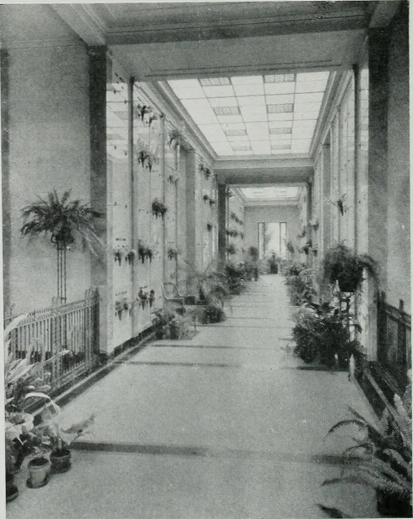 An illustration from Architect and engineer, 1905, leaf 345