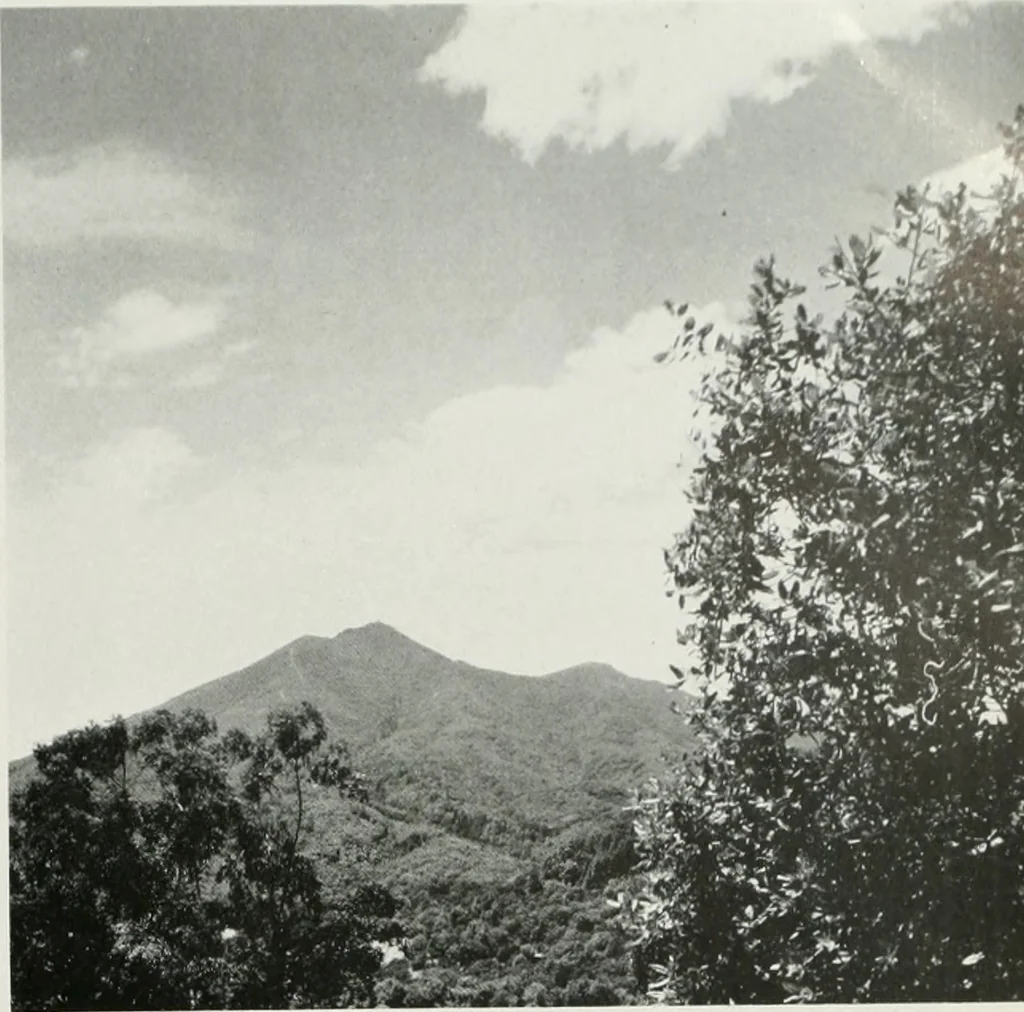 An illustration from Architect and engineer, 1905, leaf 104