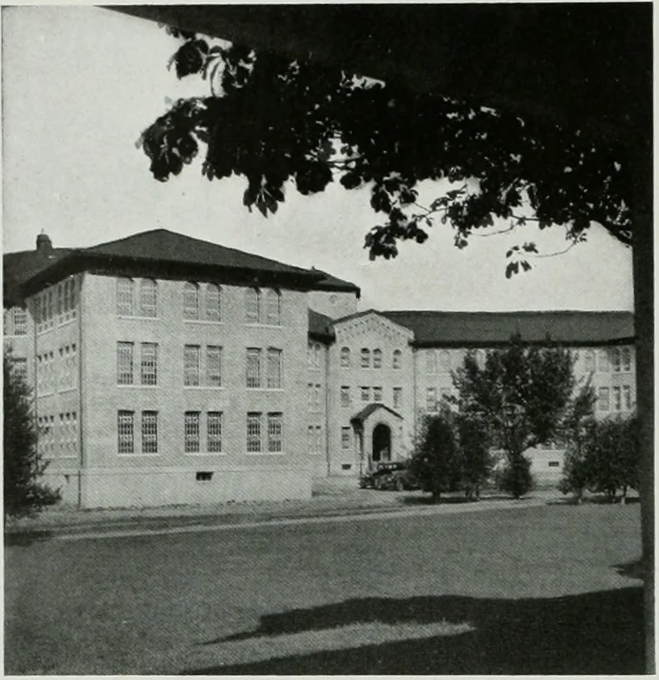 An illustration from Architect and engineer, 1905, leaf 419