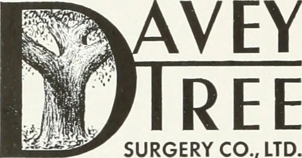 An illustration from Architect and engineer, 1905, leaf 67