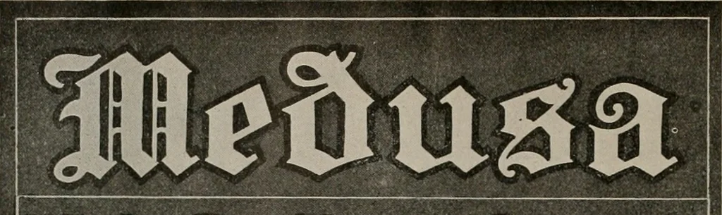 An illustration from The Architect & engineer of California and the Pacific Coast, 1905, leaf 13