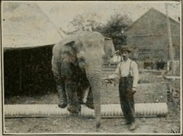 An illustration from The Architect & engineer of California and the Pacific Coast, 1905, leaf 144