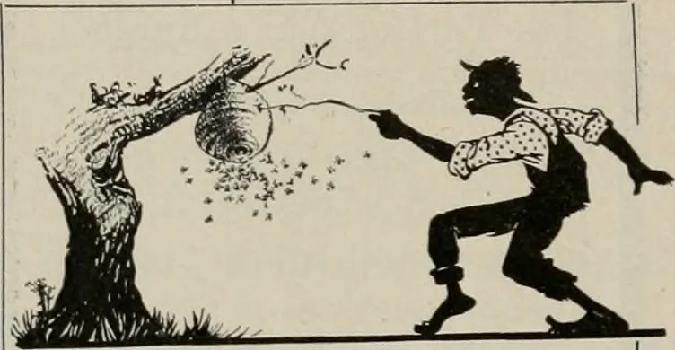 An illustration from The Architect & engineer of California and the Pacific Coast, 1905, leaf 149