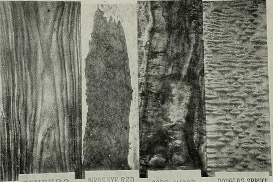An illustration from The Architect & engineer of California and the Pacific Coast, 1905, leaf 203