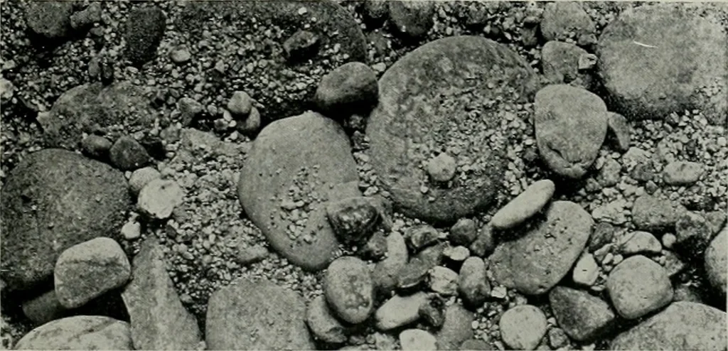 An illustration from The Architect & engineer of California and the Pacific Coast, 1905, leaf 304