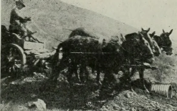 An illustration from The Architect & engineer of California and the Pacific Coast, 1905, leaf 318