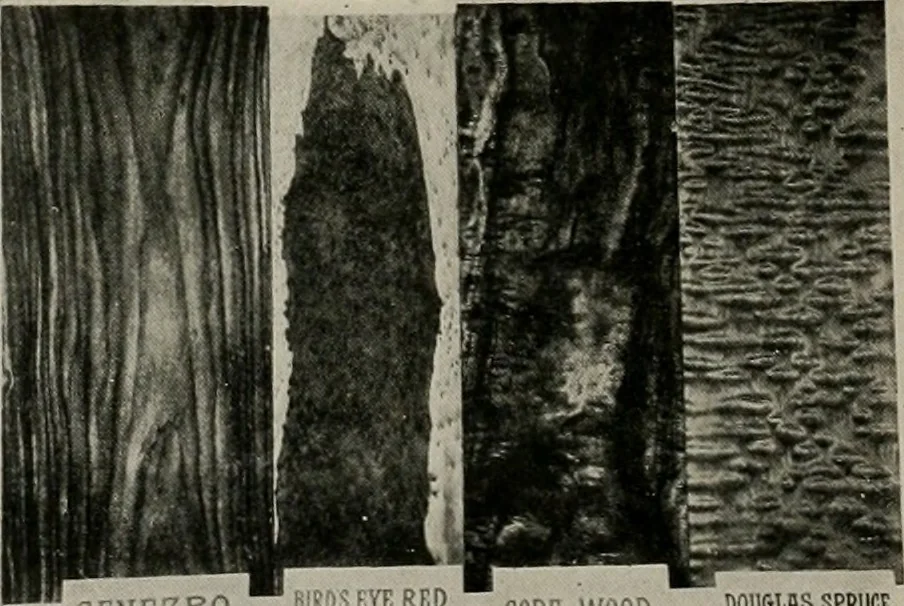 An illustration from The Architect & engineer of California and the Pacific Coast, 1905, leaf 385