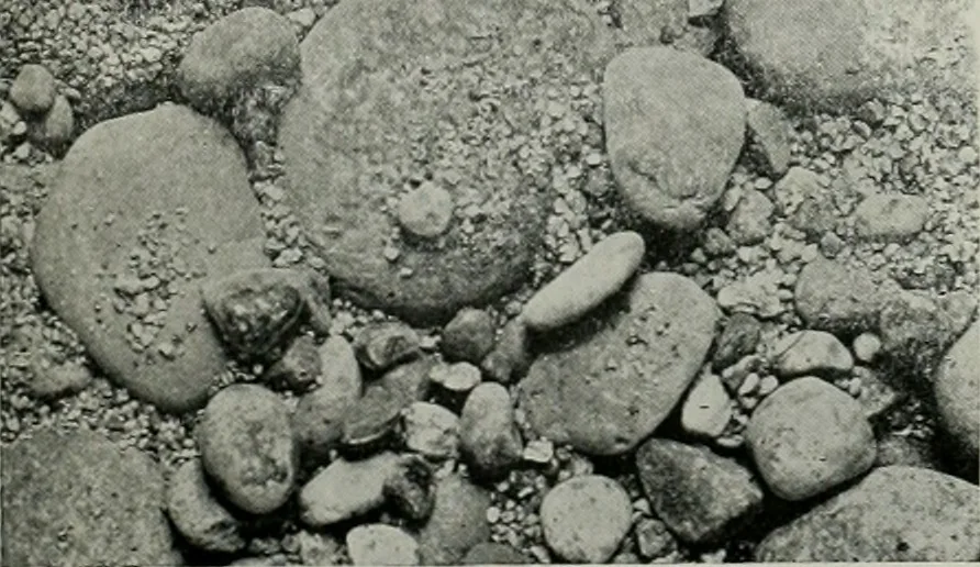 An illustration from The Architect & engineer of California and the Pacific Coast, 1905, leaf 498