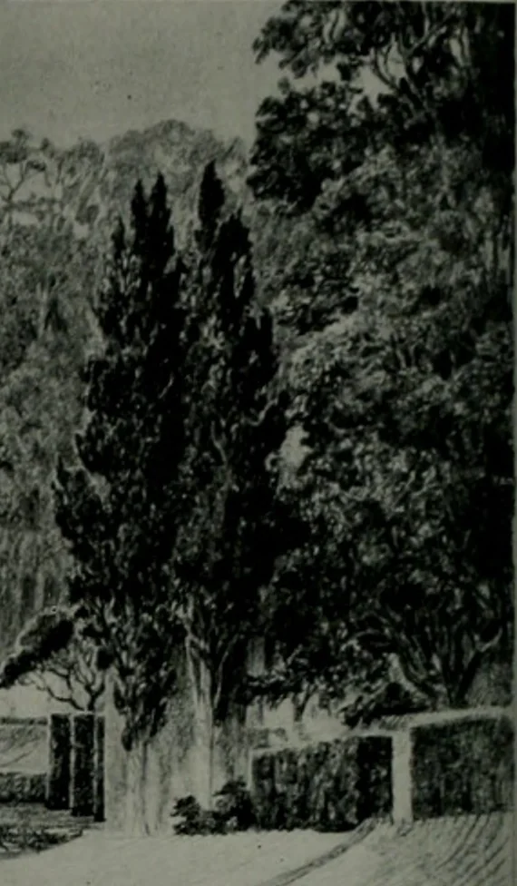An illustration from Architect and engineer, 1905, leaf 105