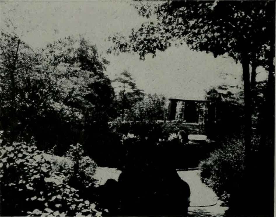 An illustration from Architect and engineer, 1905, leaf 341