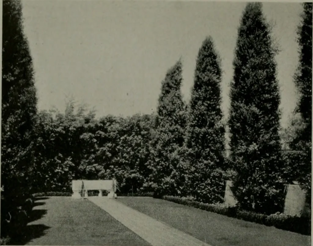 An illustration from Architect and engineer, 1905, leaf 485