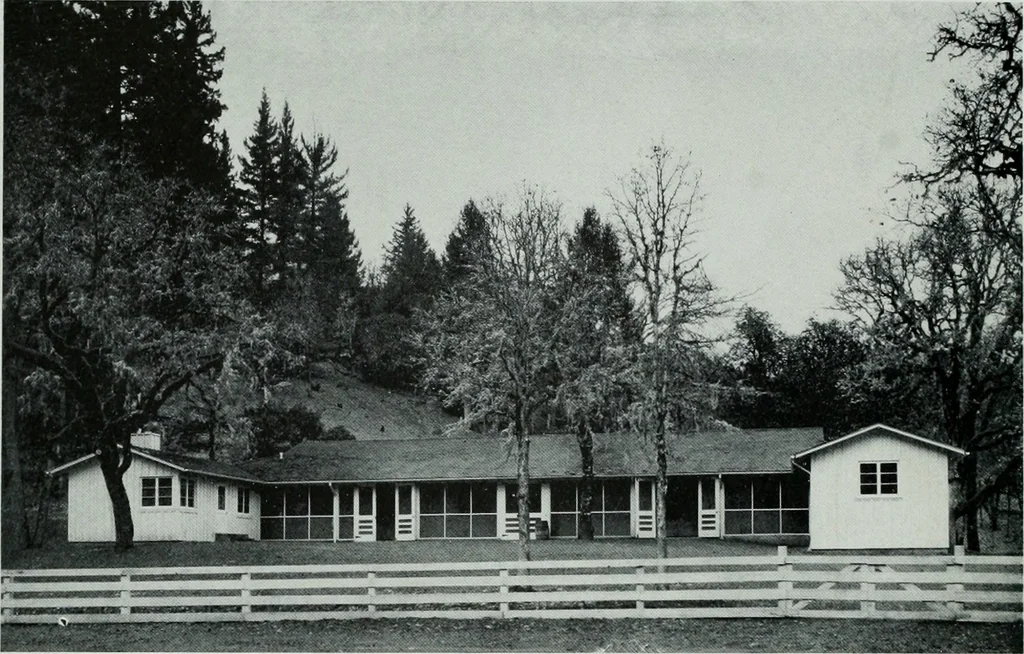 An illustration from Architect and engineer, 1905, leaf 171