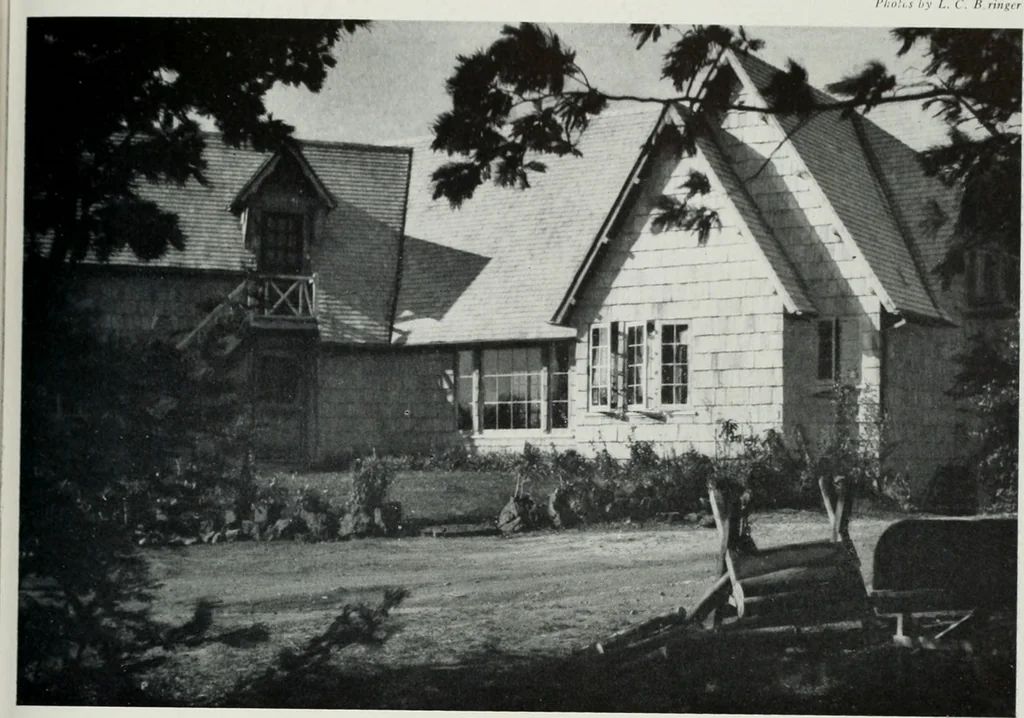 An illustration from Architect and engineer, 1905, leaf 262