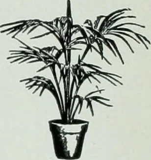 An illustration from Architect and engineer, 1905, leaf 67