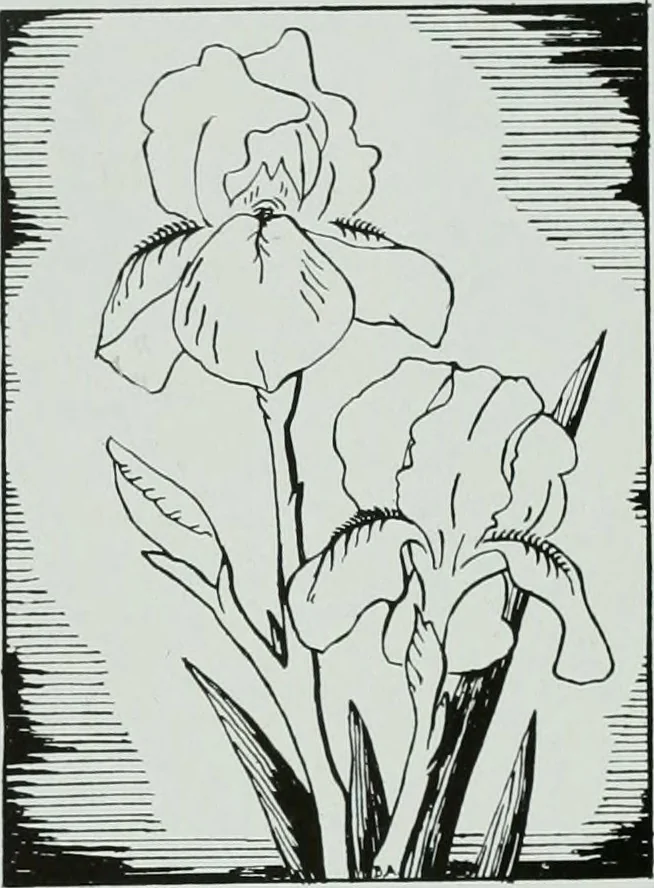 An illustration from Architect and engineer, 1905, leaf 167