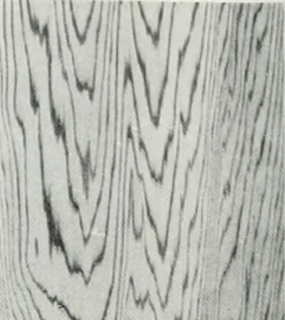 An illustration from Architect and engineer, 1905, leaf 190
