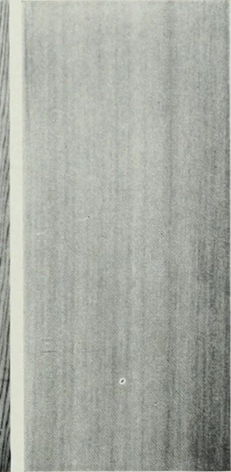 An illustration from Architect and engineer, 1905, leaf 190