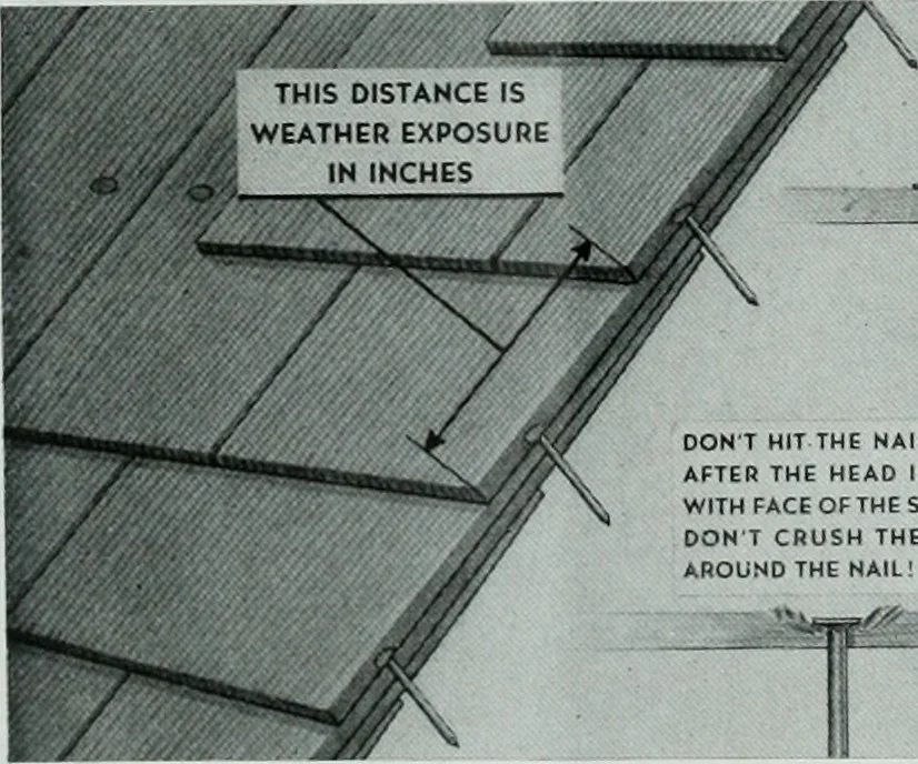 An illustration from Architect and engineer, 1905, leaf 191