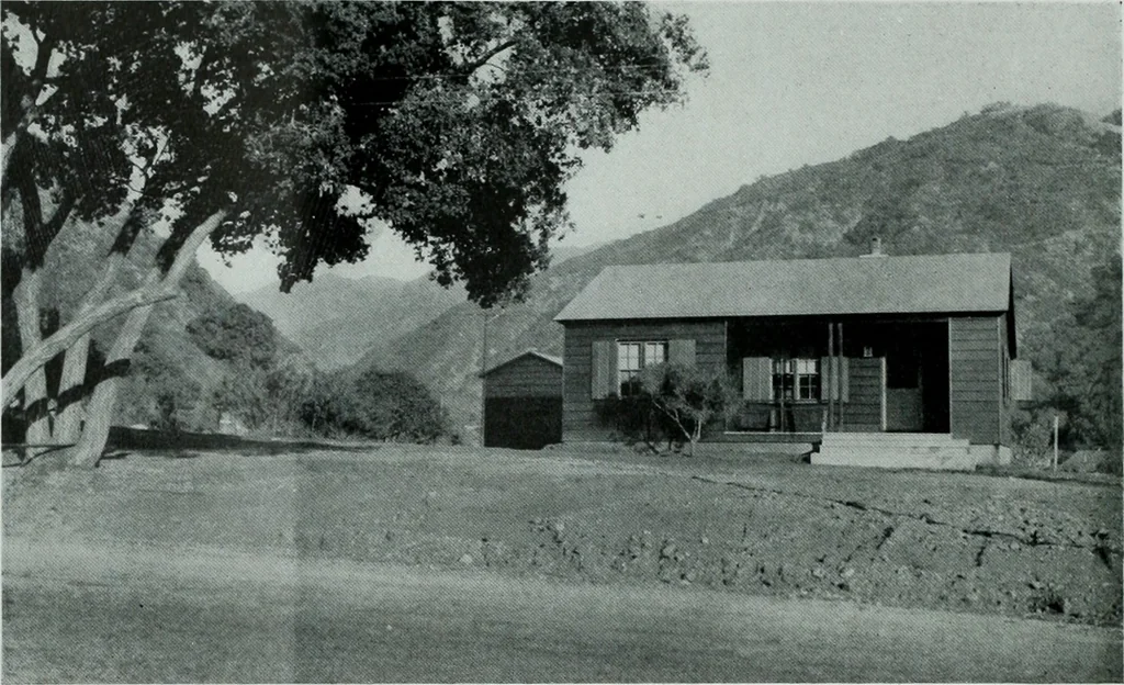 An illustration from Architect and engineer, 1905, leaf 203