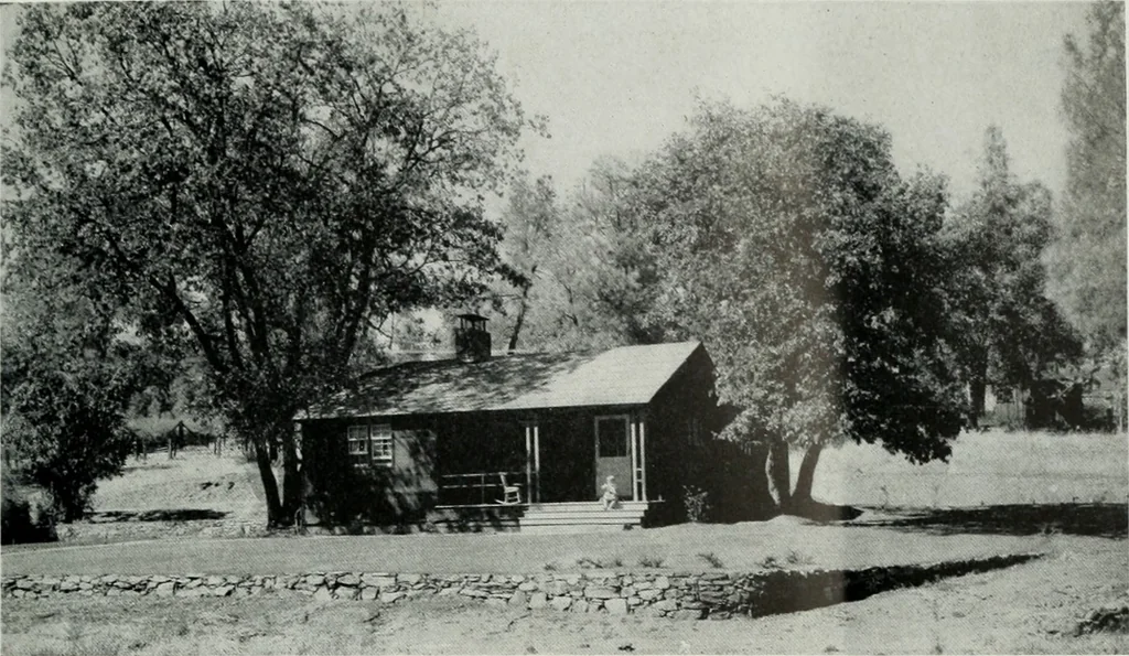 An illustration from Architect and engineer, 1905, leaf 204