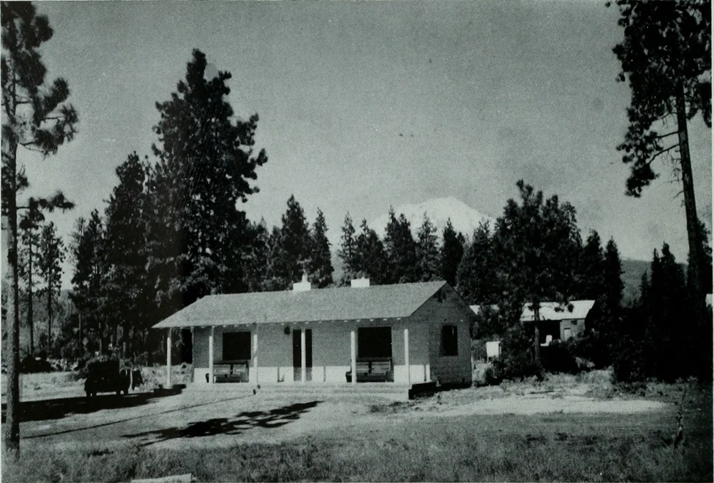 An illustration from Architect and engineer, 1905, leaf 205