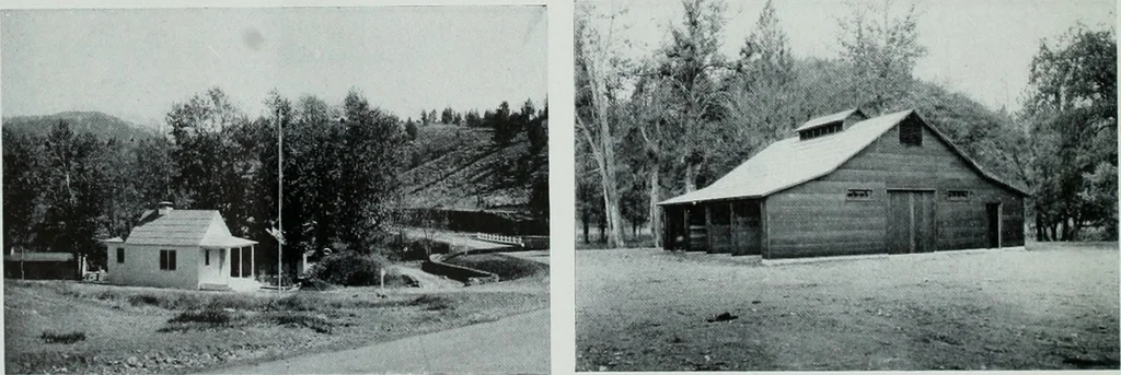 An illustration from Architect and engineer, 1905, leaf 205