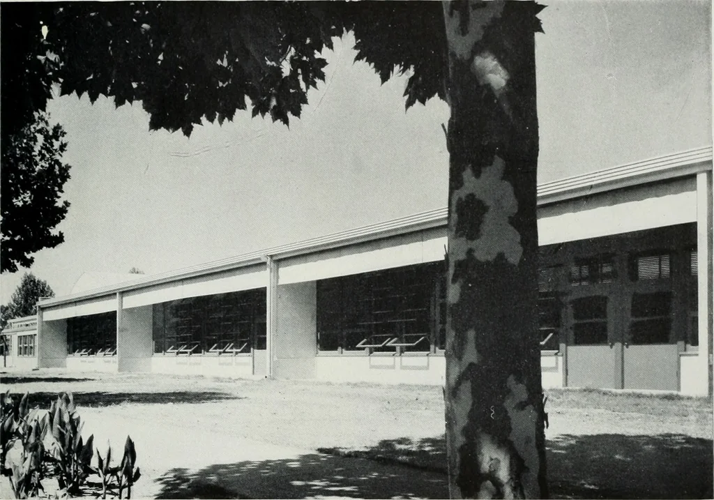 An illustration from Architect and engineer, 1905, leaf 28