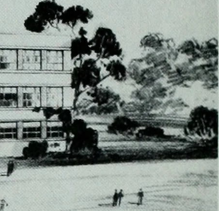 An illustration from Architect and engineer, 1905, leaf 413